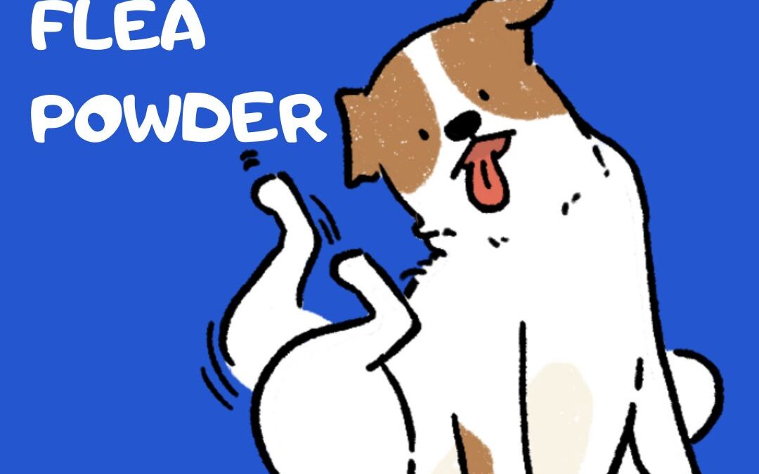 graphic of a brown and white dog using his back legs to scratch. His tongue is out and it looks like he is concentrating. The background is bright blue and the white text reads: Homemade Flea Powder