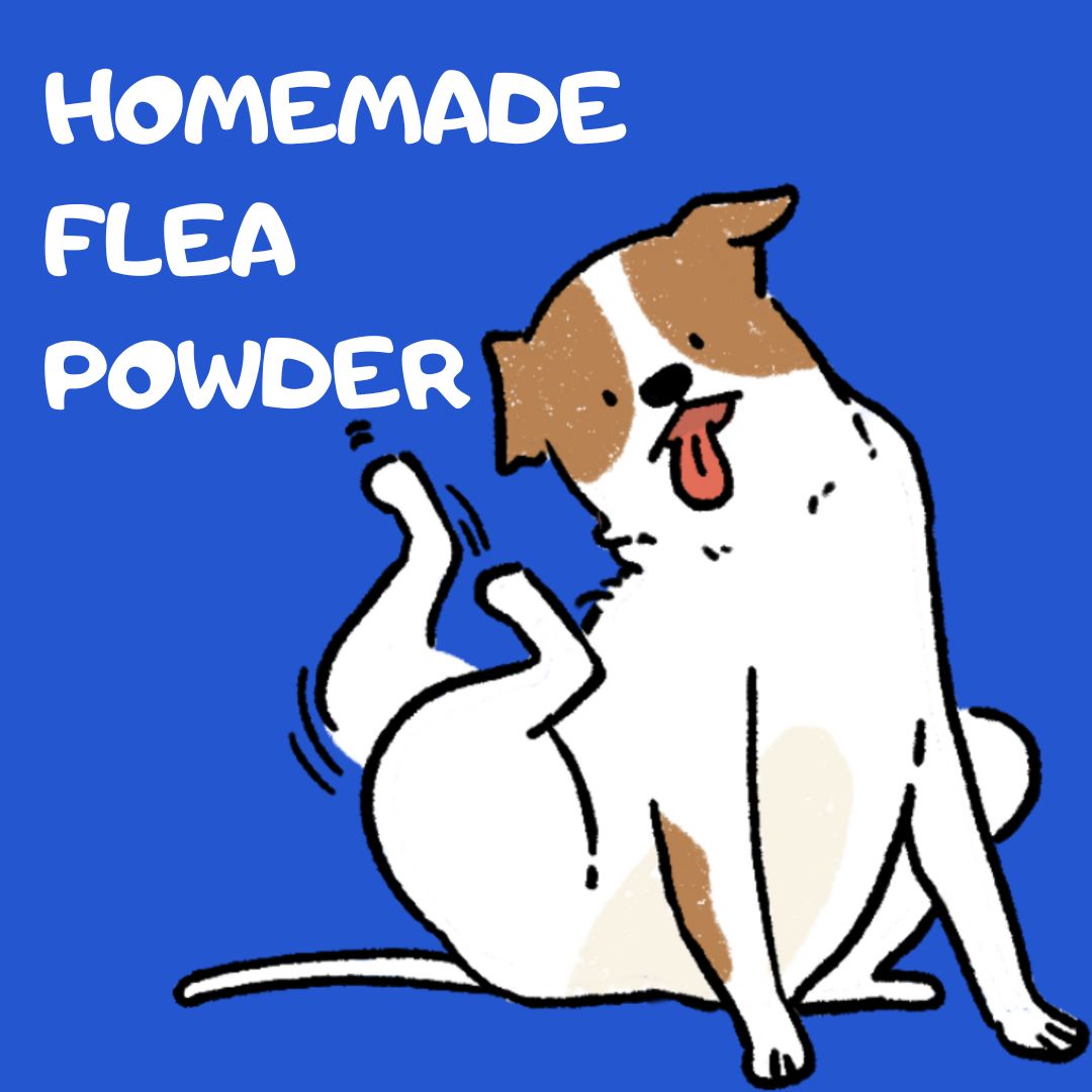 Homemade Flea Powder