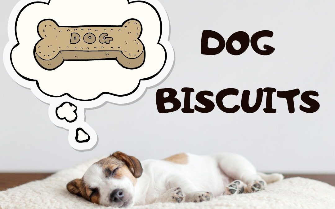 graphic of a jack russell terrier sleeping on its side on a fluffy white pillow. There's a dream bubble with a dog biscuit in it. The text is black on a grey background and reads: pumpkin dog biscuits in a fun font