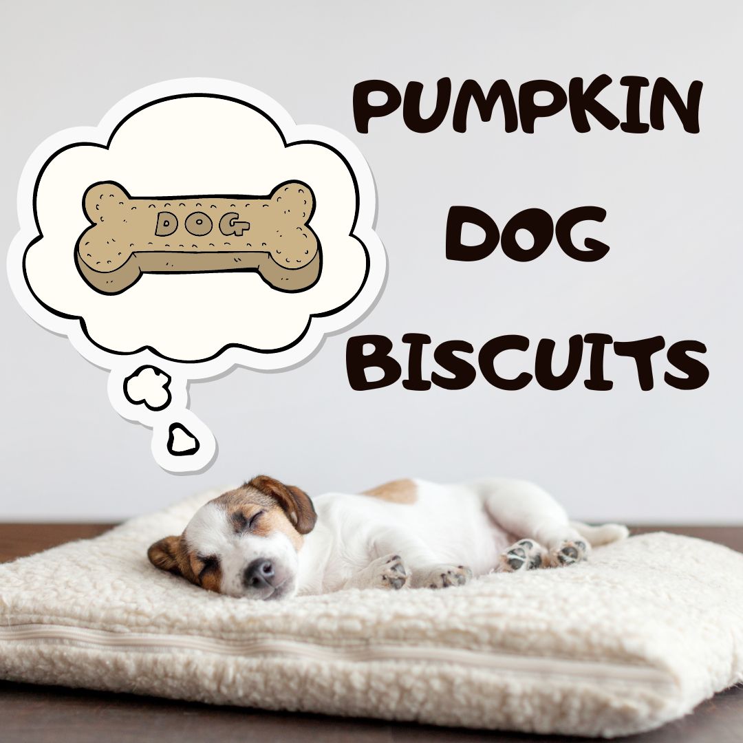 Pumpkin Dog Biscuit Recipe: Cleo’s Pumpkin Dog Biscuits