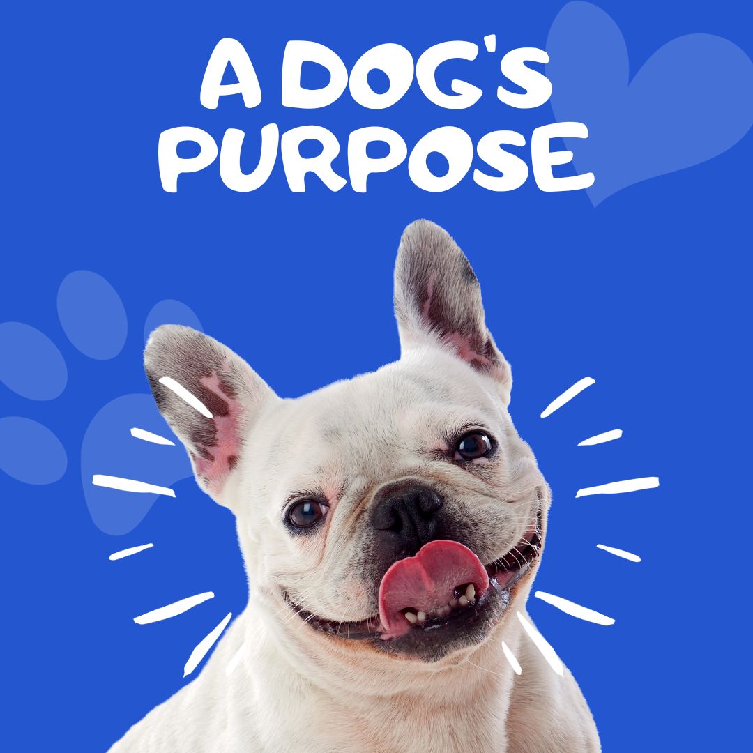 What do Dogs Teach Us?: A Dog’s Purpose