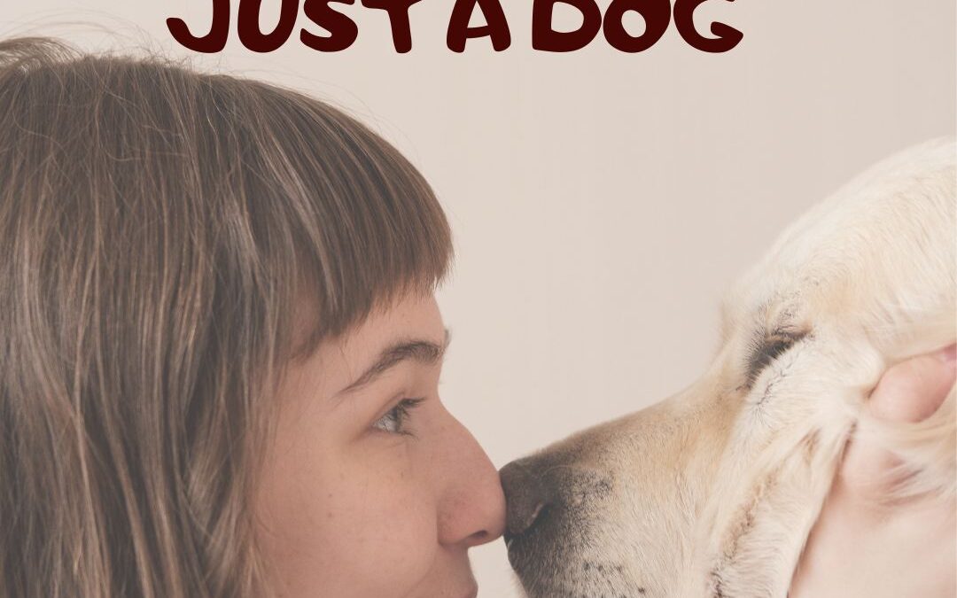 Why Dogs Are Important – it’s not ‘Just a Dog’ to me.