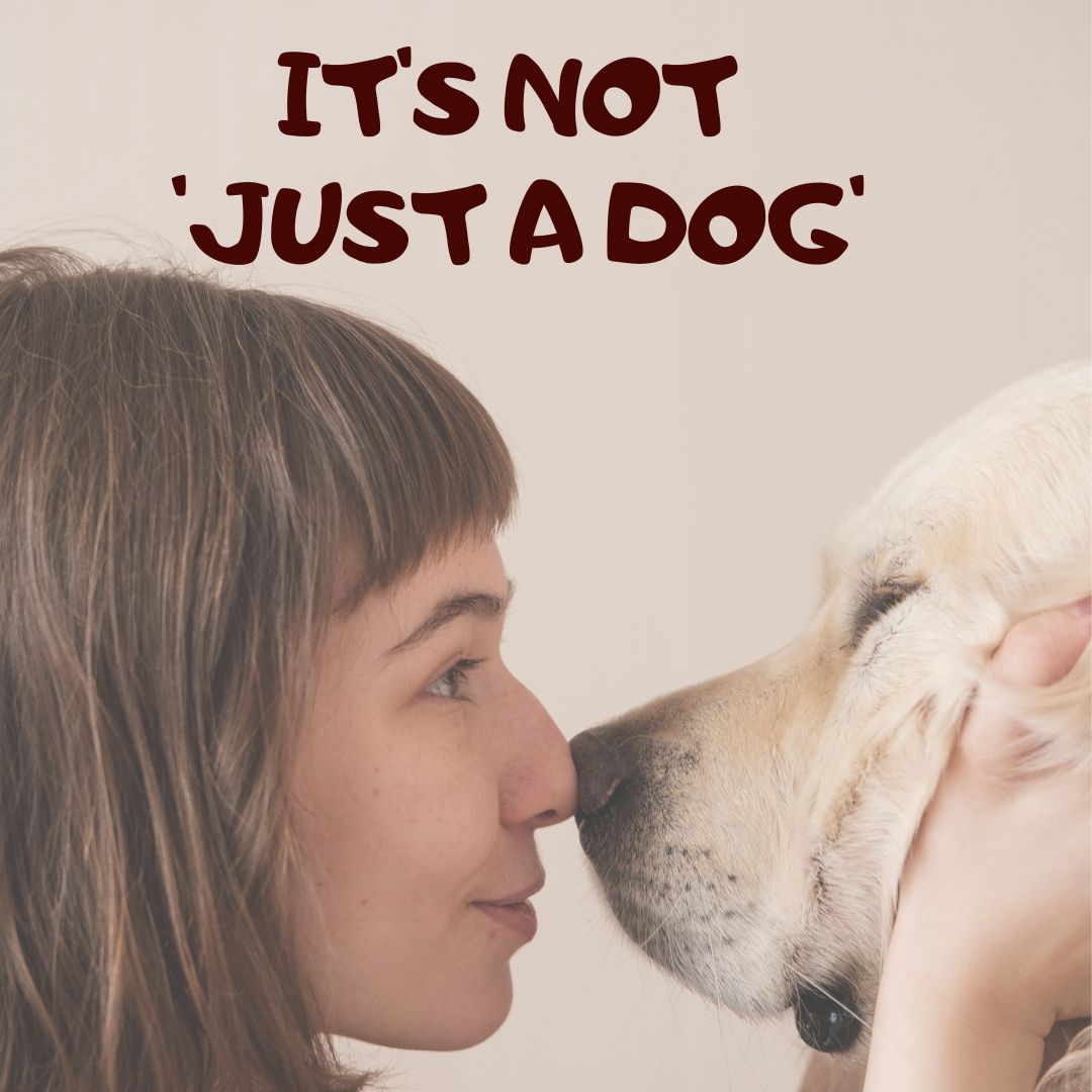 Why Dogs Are Important – it’s not ‘Just a Dog’ to me.