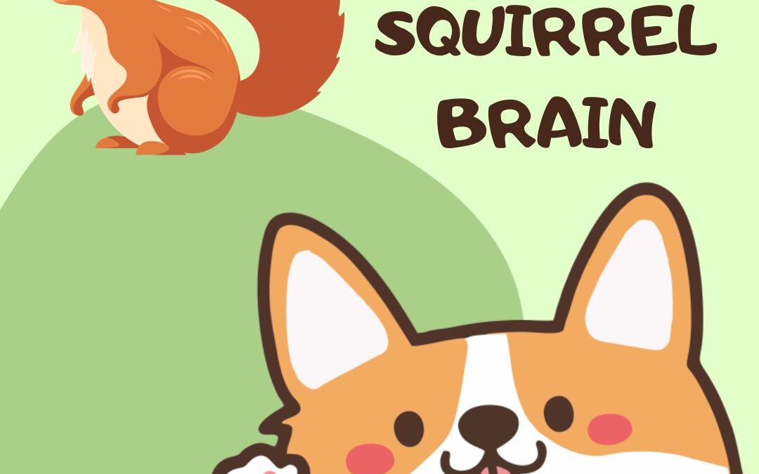 graphic of a corgi with his tongue out and one paw reaching towards a squirrel in the top left of the image. It's set on a light green background and there is brown text that reads: dogs with squirrel brain