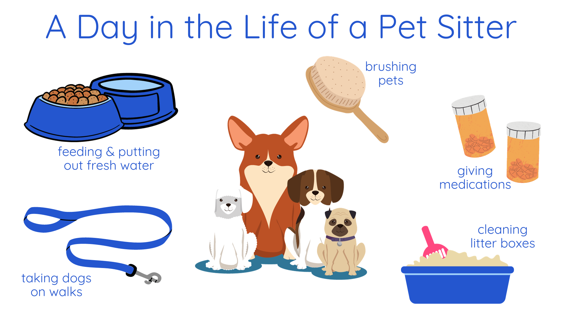 Graphic of different pet sitter activities, with blue text reading: A day in the life of a pet sitter. The graphics include pet food and water in two blue bowls, with the label: feeding and putting out fresh water. There's a blue leash with the label: taking dogs on walks. A soft bristle brush with the label: brushing pets. Two orange pill containers with the label: giving medications, and a blue litter box with a bright pink scoop and the label: cleaning litter boxes. In the center, there are four different sized cartoon dogs sitting and smiling.