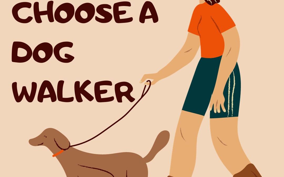 graphic of a dog walker - a tall woman in an orange tee shirt and teal shorts is walking a brown labrador type dog on a leash. The dog seems calm and happy. The text is dark brown and reads: how to choose a dog walker