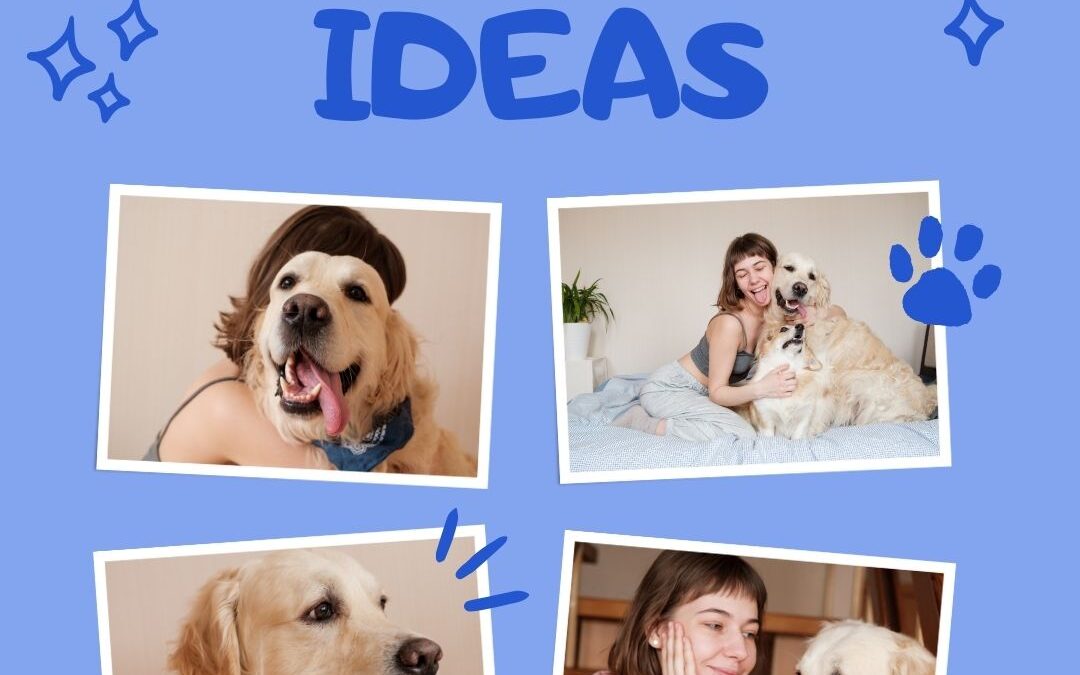 graphic of four photos of a young woman with short hair and her golden retriever. They are smiling and hugging in the pictures. The text is in a bright medium blue on a light blue background and reads: pet photo ideas
