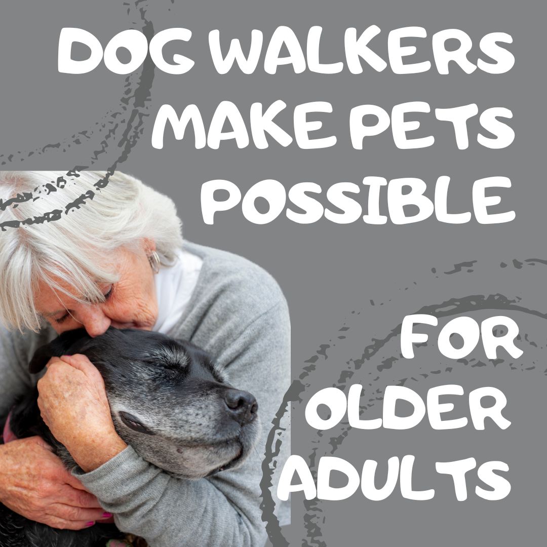 How to have a dog as an older adult? Get a dog walker!