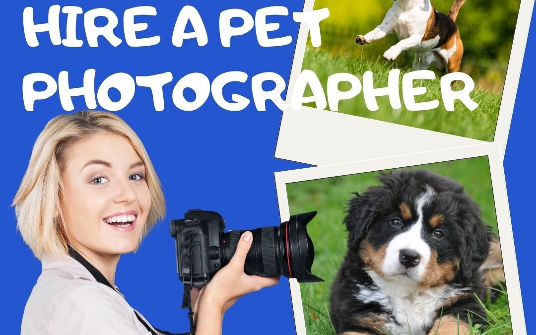 When (& Why!) to Hire a Pet Photographer