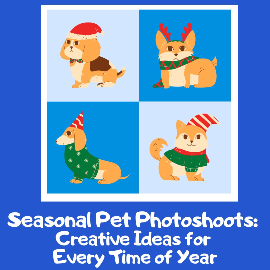 Seasonal Pet Photoshoots: Creative Ideas for Every Time of Year