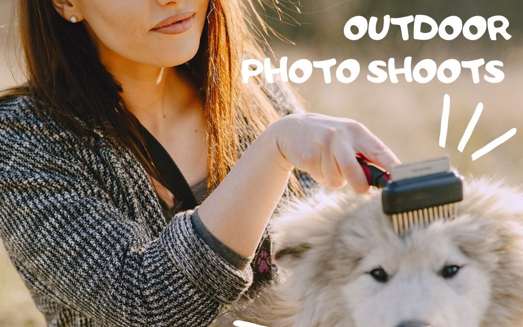 Outdoor Photoshoots: How to Keep Your Pet Comfortable