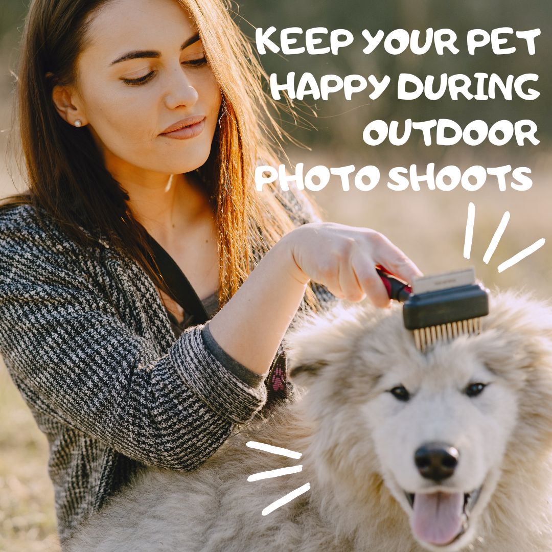 Outdoor Photoshoots: How to Keep Your Pet Comfortable