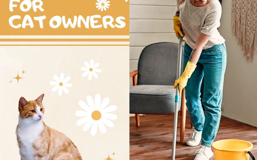 Spring Cleaning Tips for Cat Owners: Creating a Safe, Fresh Home for Your Feline