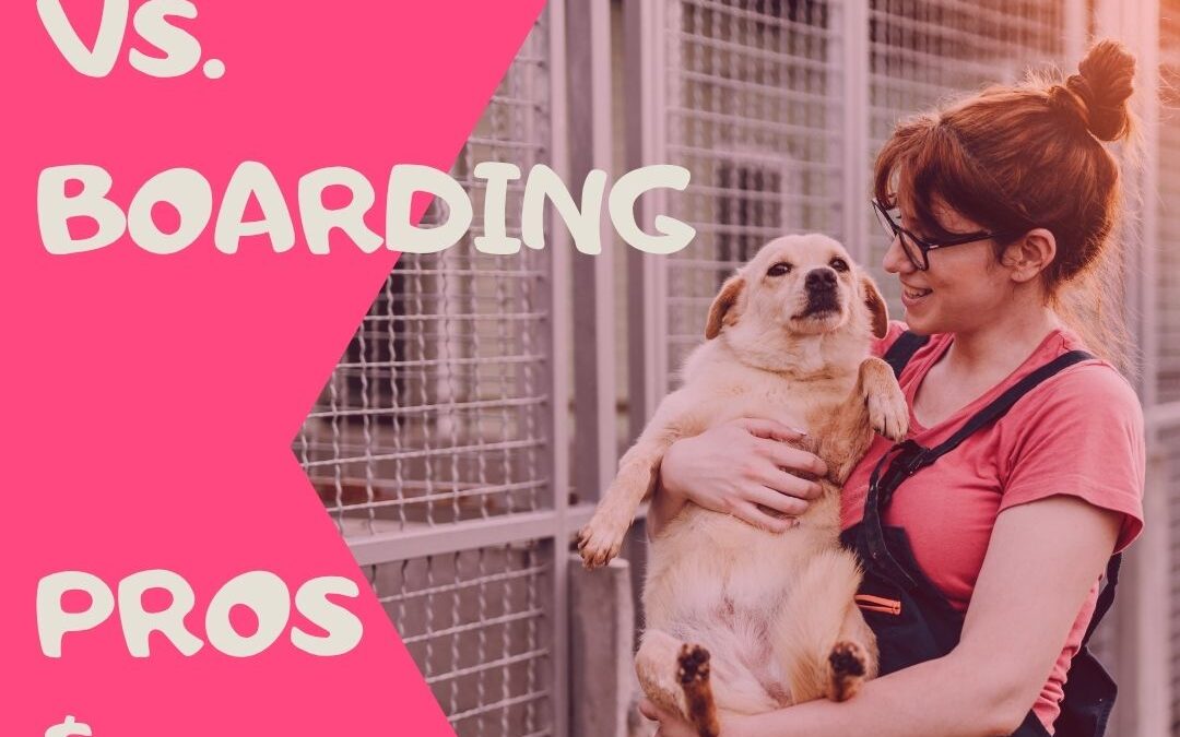 Pet Sitting vs. Boarding – Pros & Cons