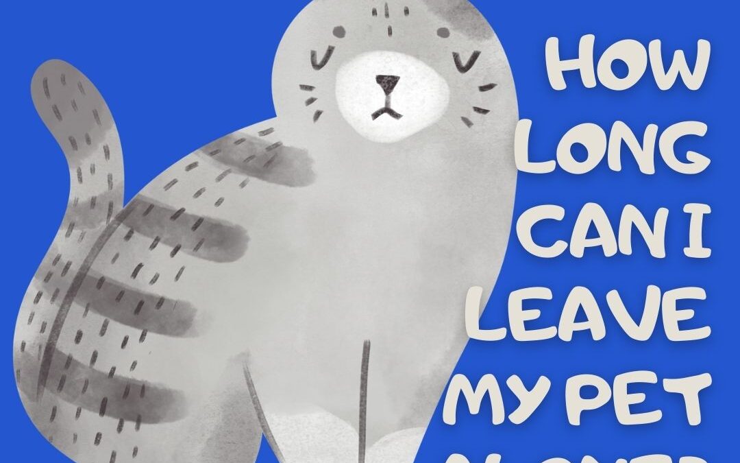 How Long Can I Leave My Pet Alone? (By Species)