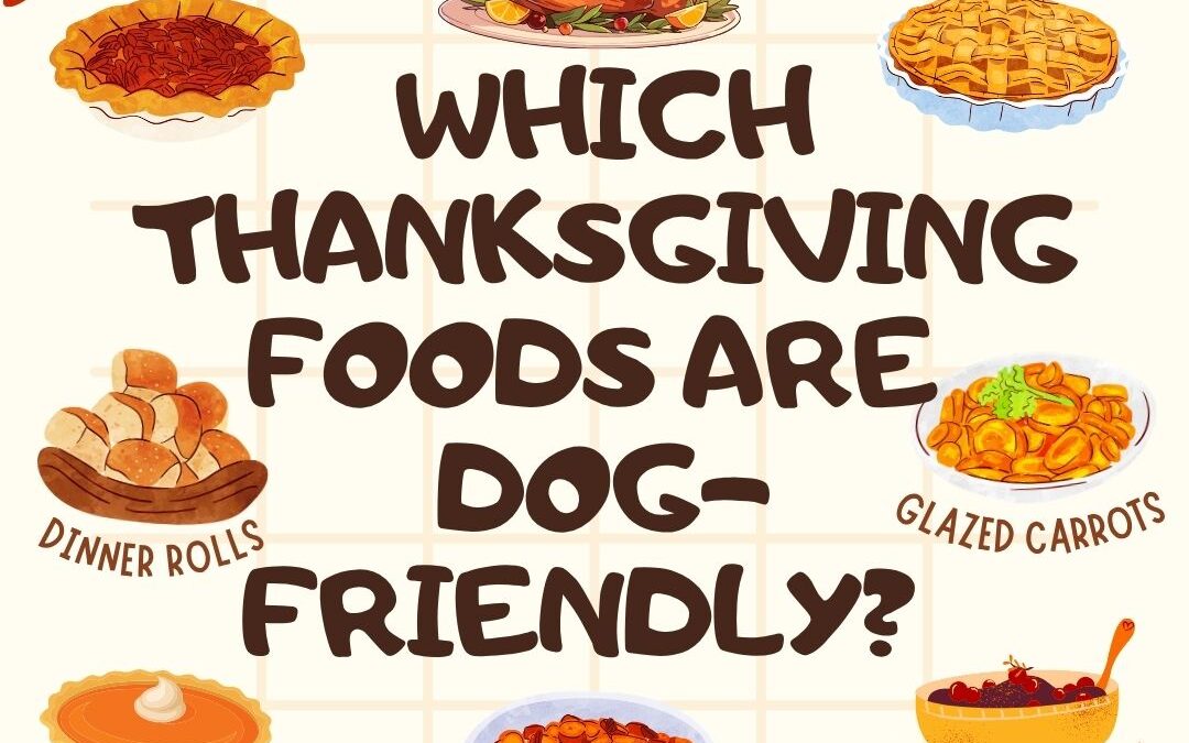 Which Thanksgiving Foods Are Safe for Your Dog?