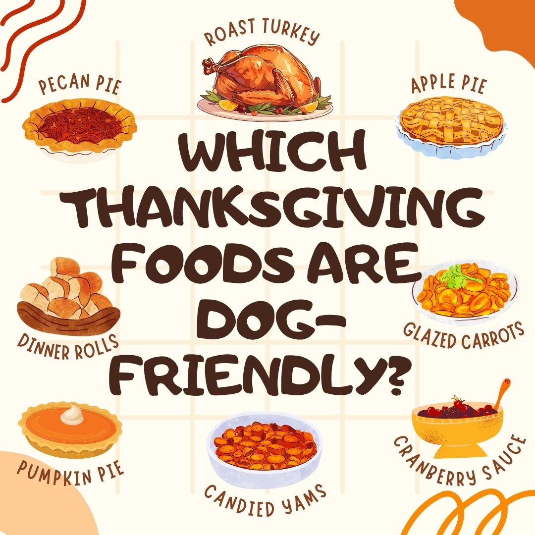Which Thanksgiving Foods Are Safe for Your Dog?