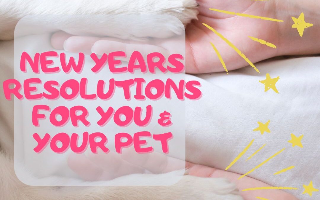 New Year’s Resolutions for You and Your Dog