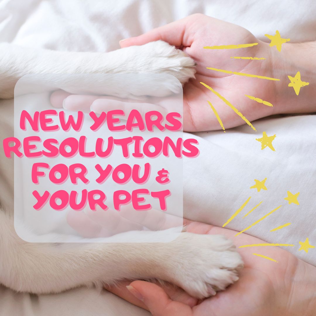 New Year’s Resolutions for You and Your Dog