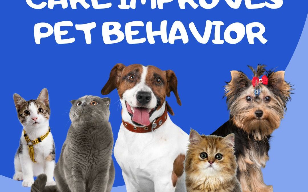 How Consistent Care Improves Pet Behavior
