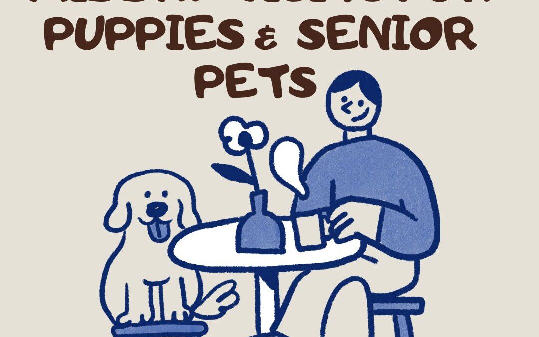 The Benefits of Midday Visits for Puppies and Senior Pets