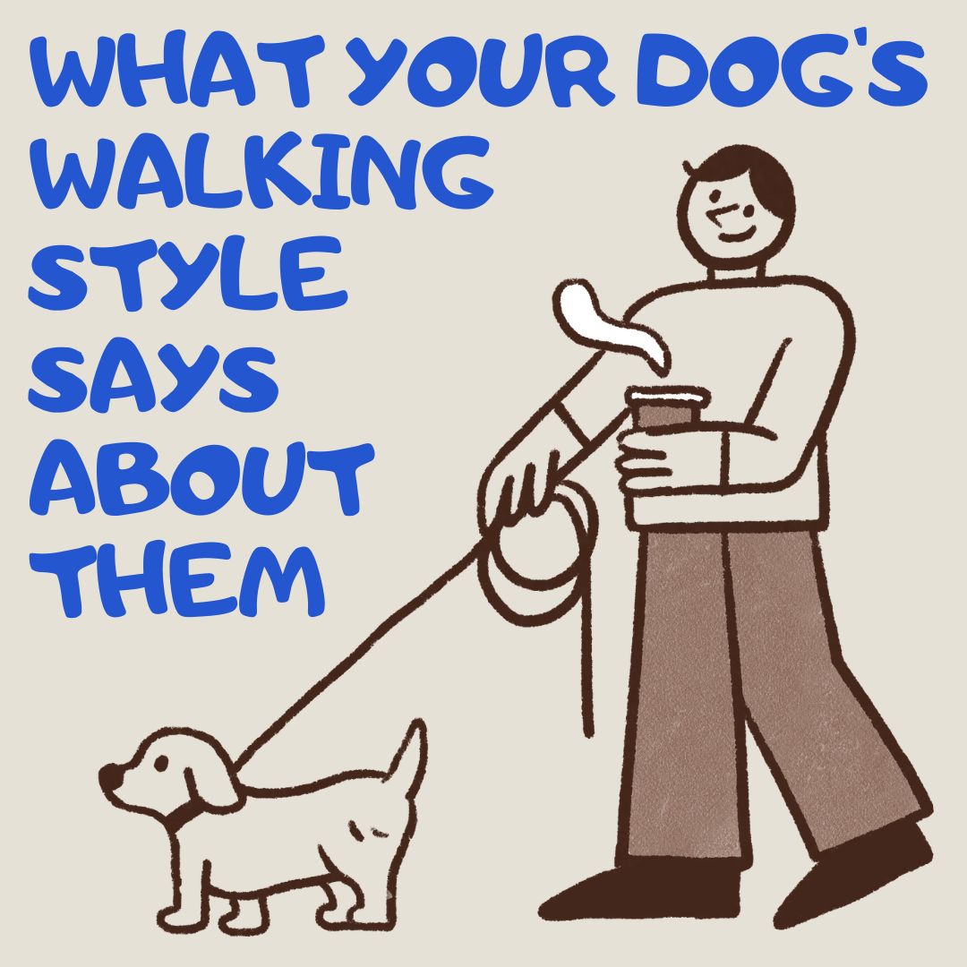 What Your Dog’s Walking Style Says About Their Mood