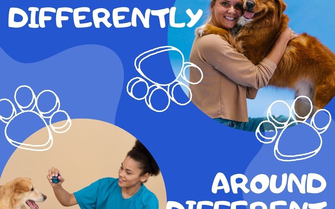 Why Your Pet Acts Differently Around Other People