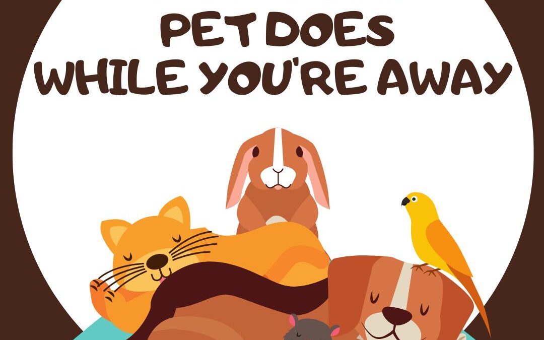What Your Pet Does While You’re Away (And Why It Matters)