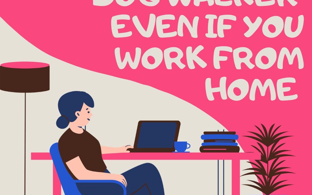 Why You Need a Dog Walker Even If You Work From Home